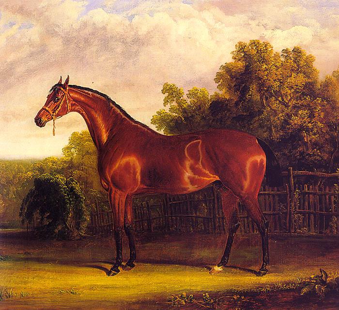 Herring, John F. Sr. Negotiator the Bay Horse in a Landscape oil painting picture
